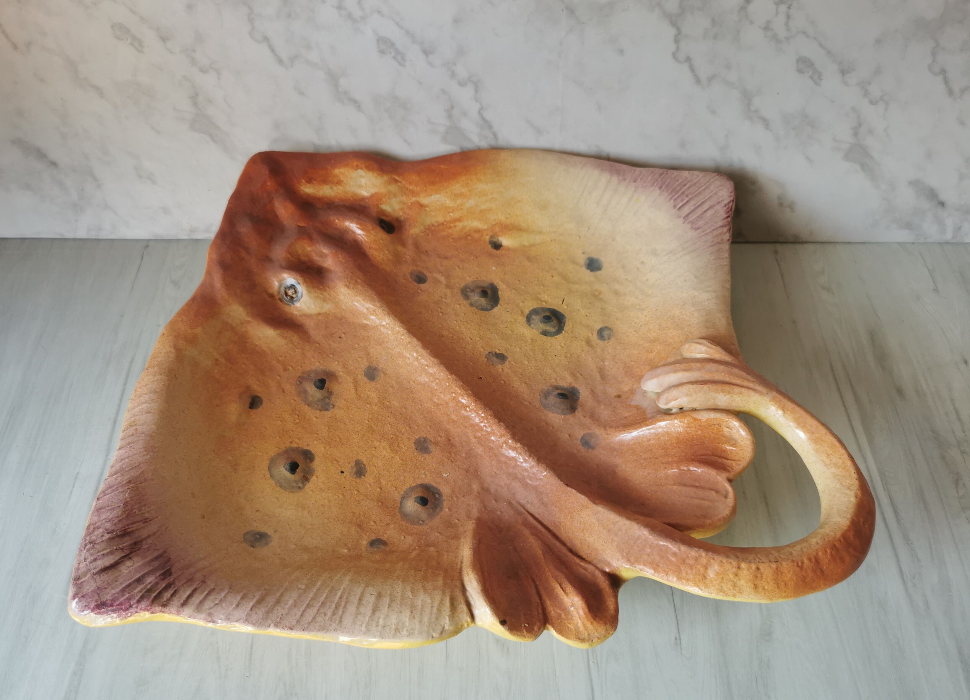 Zoomorphic dish ray