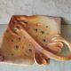 Zoomorphic dish ray