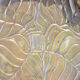 Brass serving tray XX'