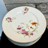 Set of 8 floral porcelain plates from the late 19th century.