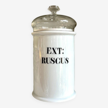 Apothecary jar ext: ruscus in limoges porcelain