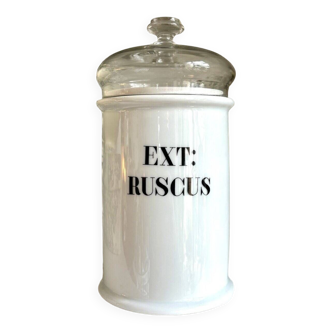 Apothecary jar ext: ruscus in limoges porcelain