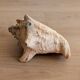 Conch Marine shell - Strombus alatus 26 cm 1.6 kg