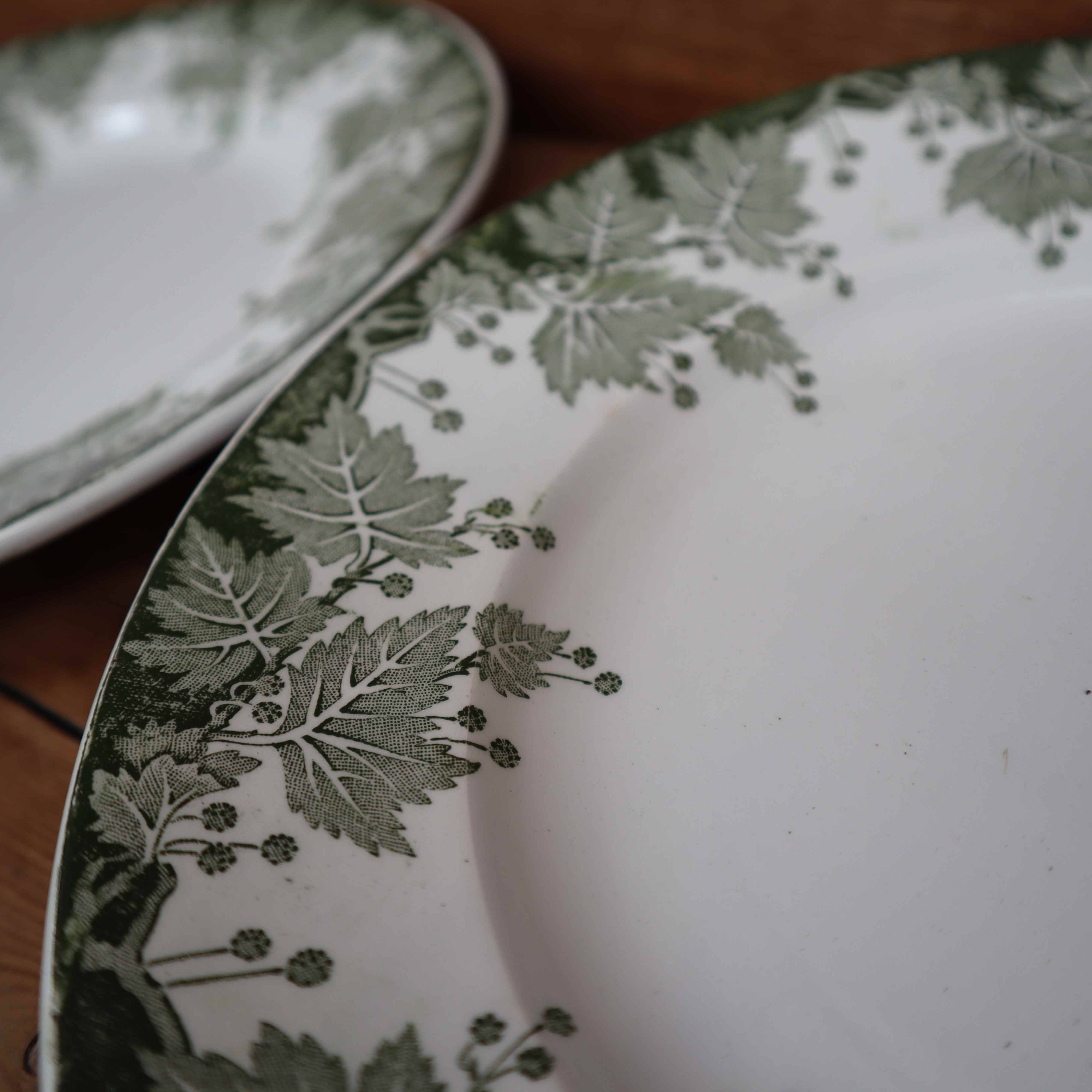 6 Terre de Fer flat plates, Platane St Amand model