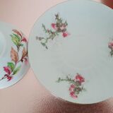 Porcelain cups france j & cie