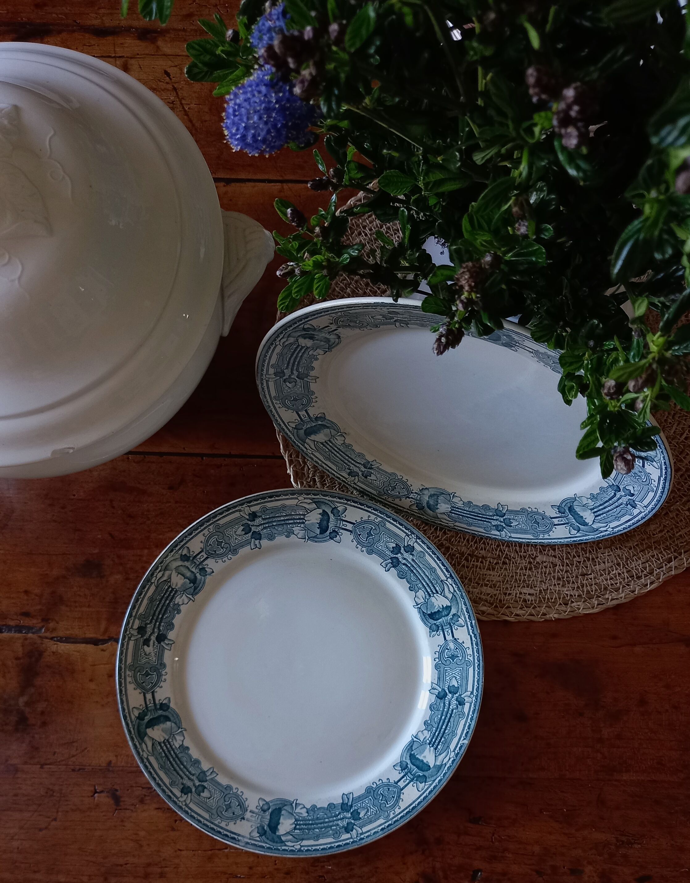 2 flat old plates (ø 25 cm) earthenware terre de fer creil montereau massena