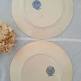 6 assiettes plates anciennes dépareillées terre de fer