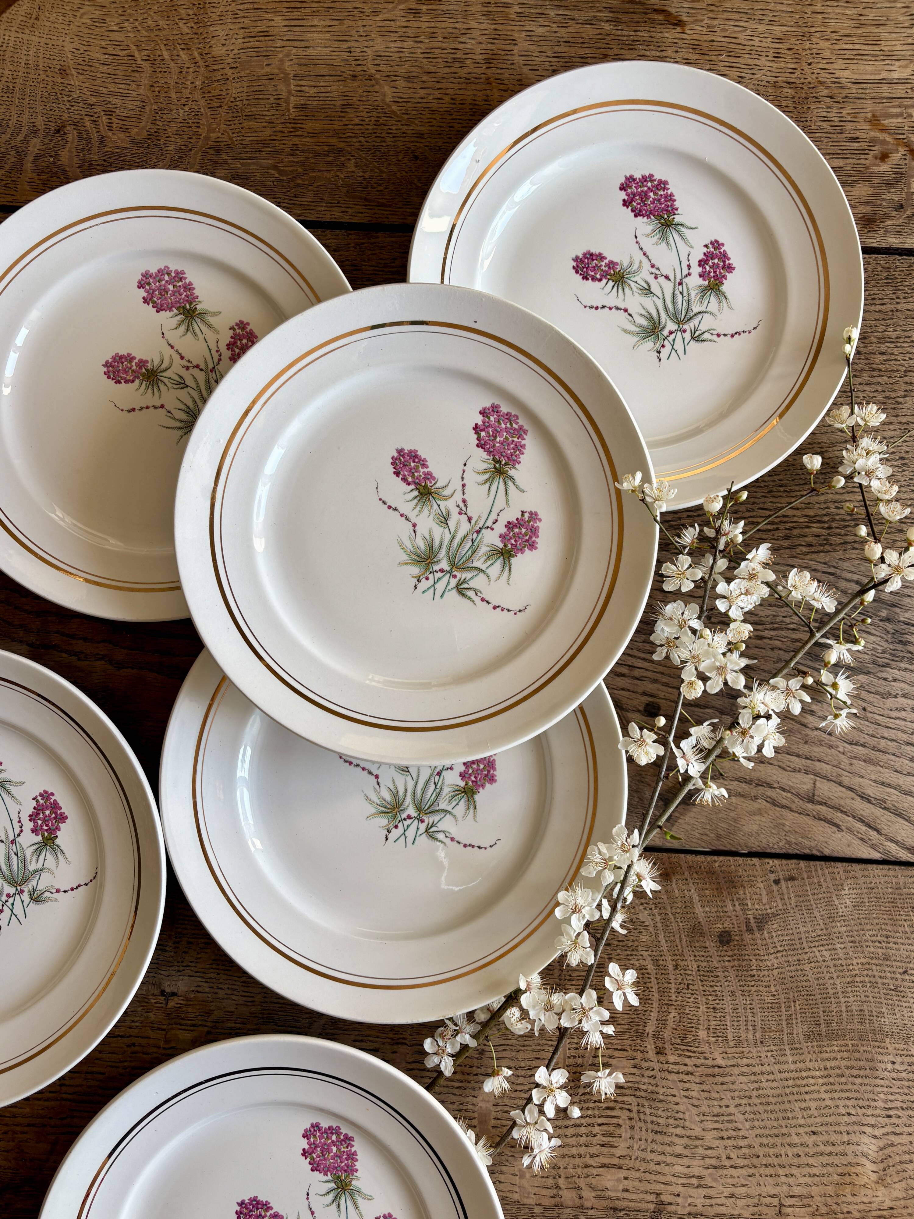 Set of 6 vintage dinner plates - Moulin des Loups