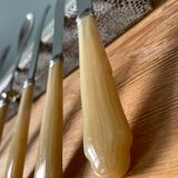 Ménagère de 29 pièces « la trompette » en inox et corne