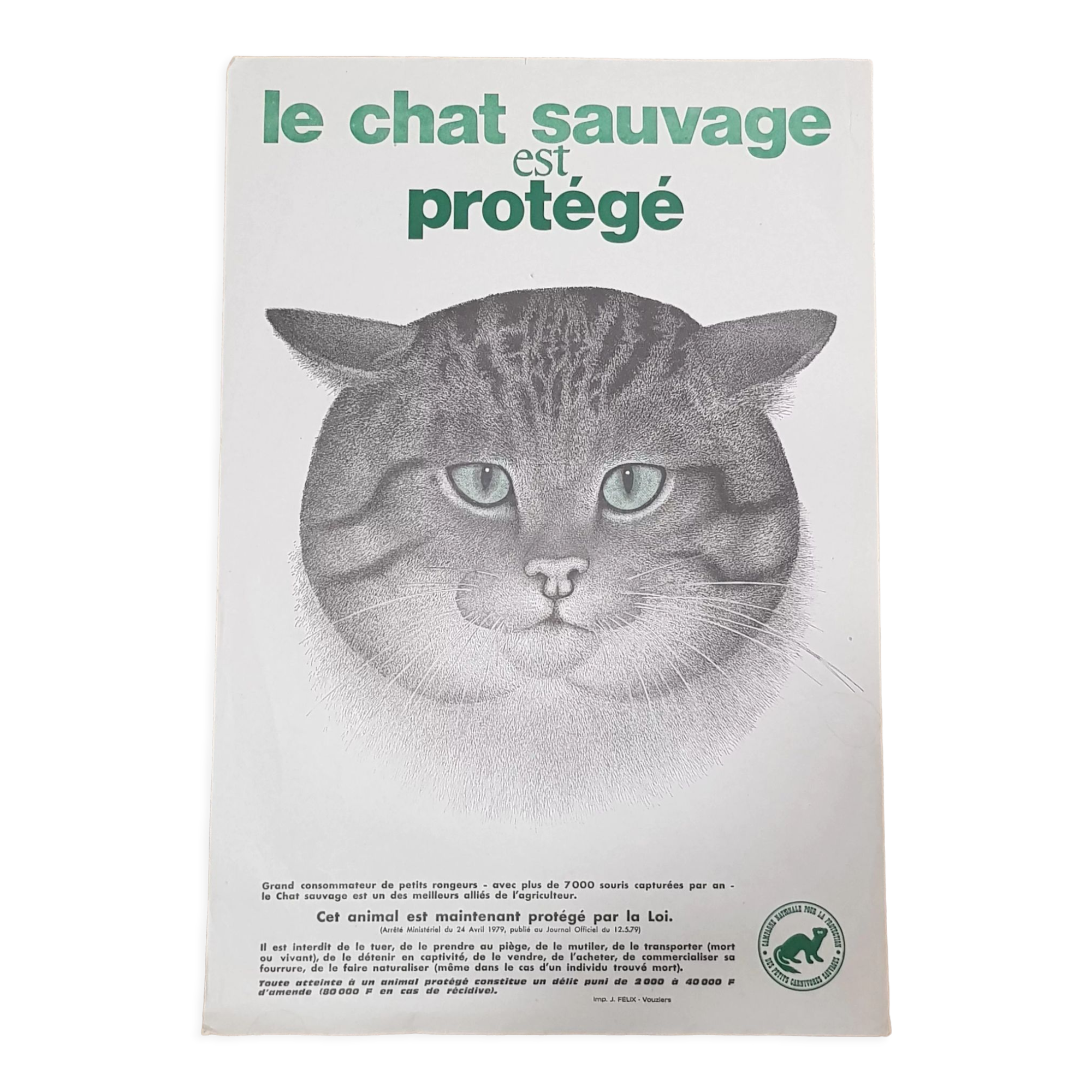 70's wild cat protection poster