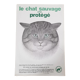 70's wild cat protection poster