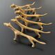 6 lioness-shaped brass knife holders