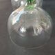 12 green footed wine glasses in opaline blown crystal 1900