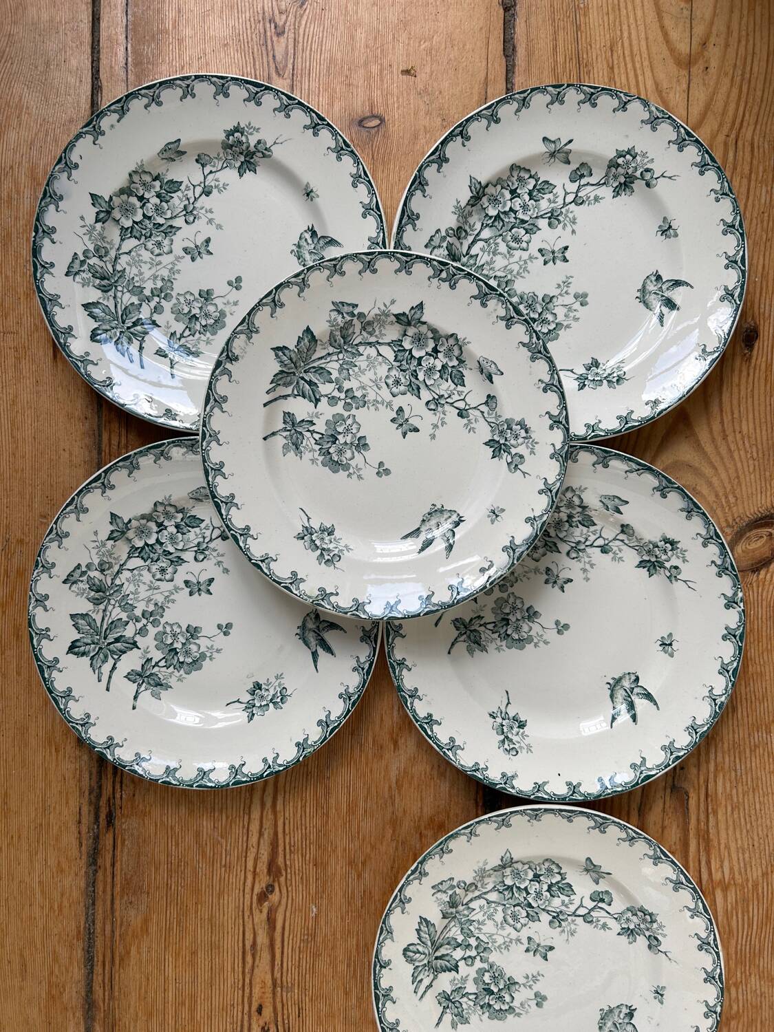 Series of 6 old flat plates “Terre de Fer”
