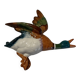 Duck Beswick England