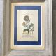 Ancient botanical plank frames