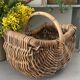 Panier de cueillette