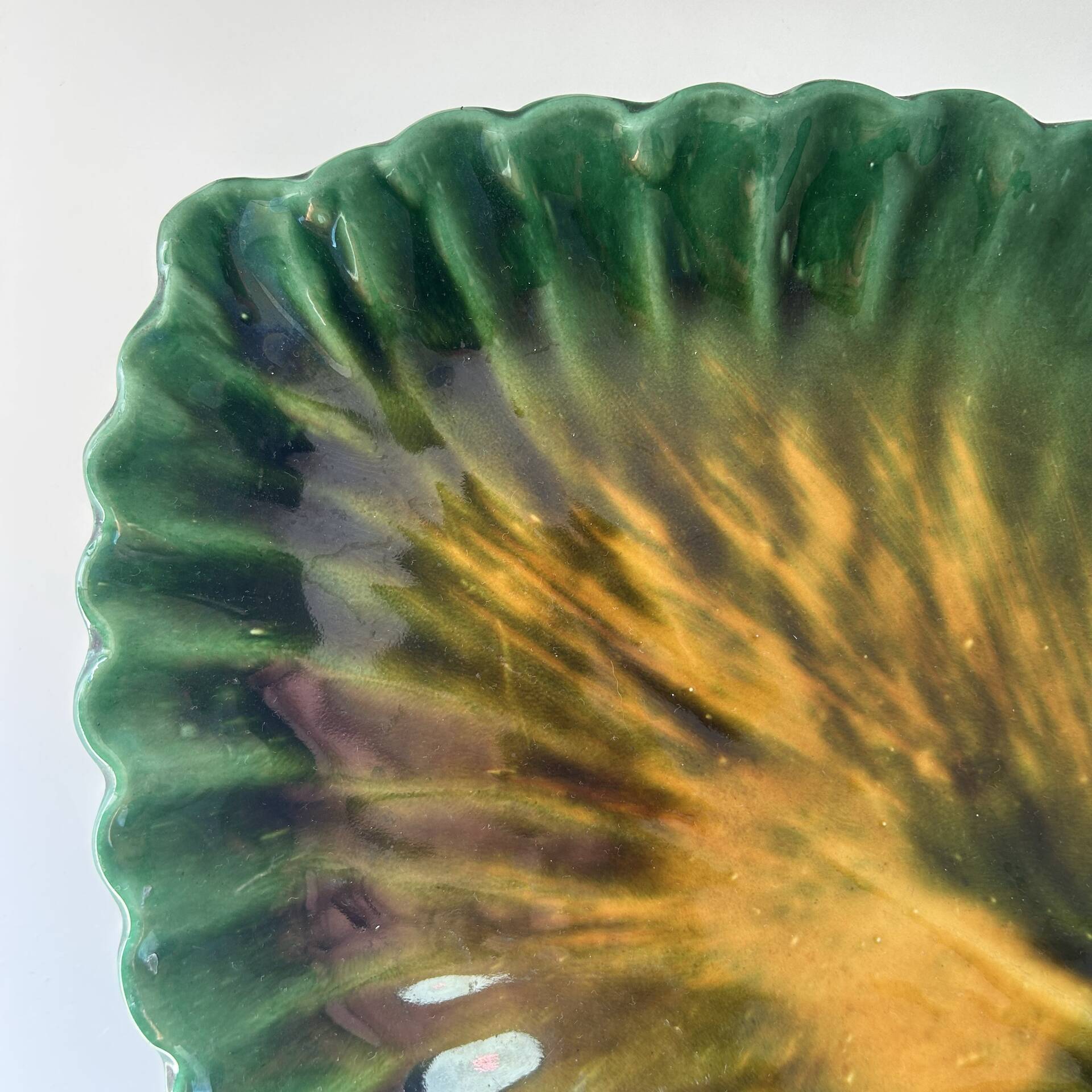 Large alocasia leaf plate
