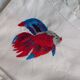 Ensemble de 6 serviettes brodées poissons