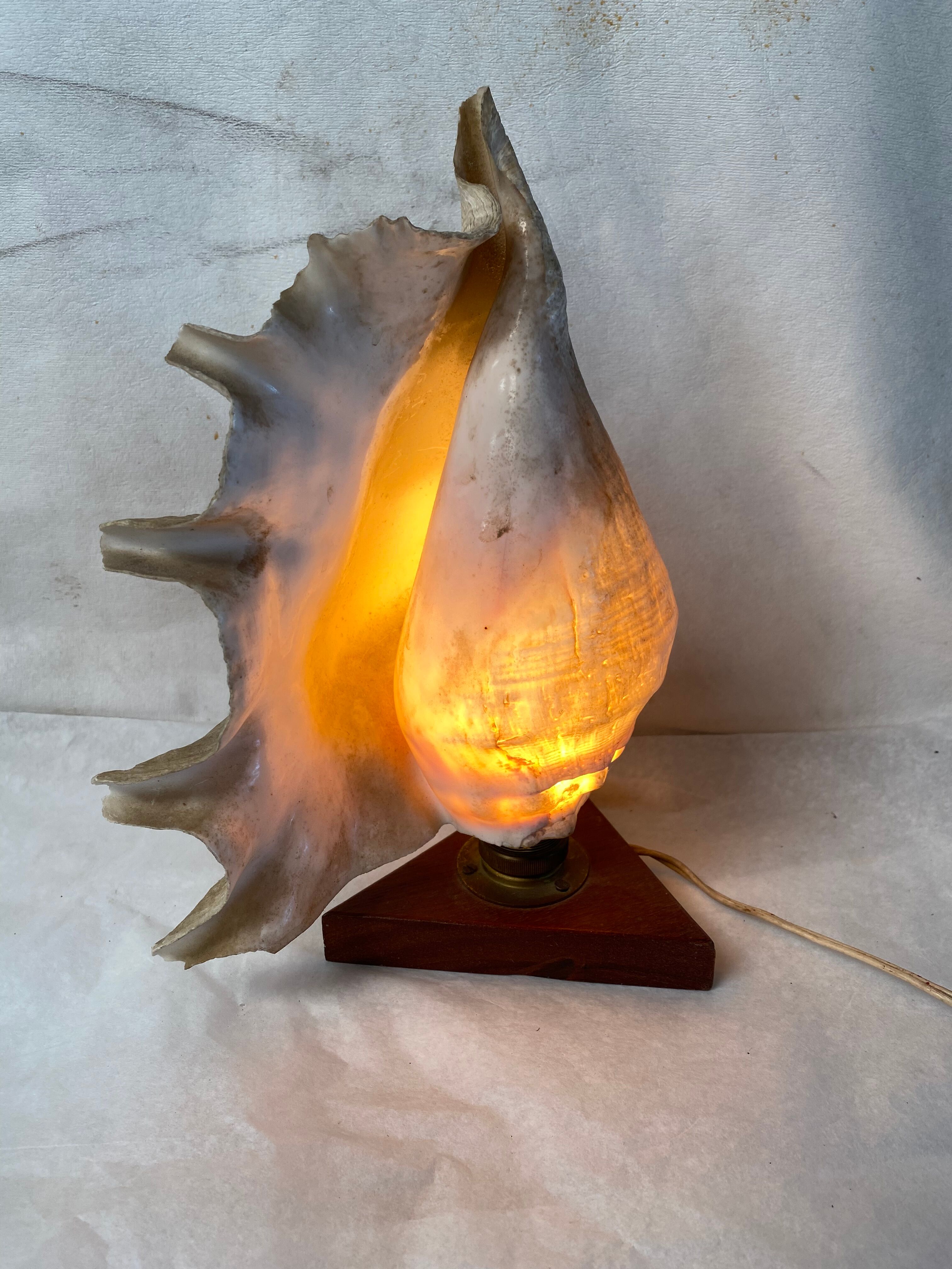 Vintage shell and teak lamp