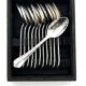 12 spoons dessert model sully silver metal in a case