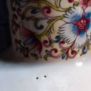 Vase paons en porcelaine