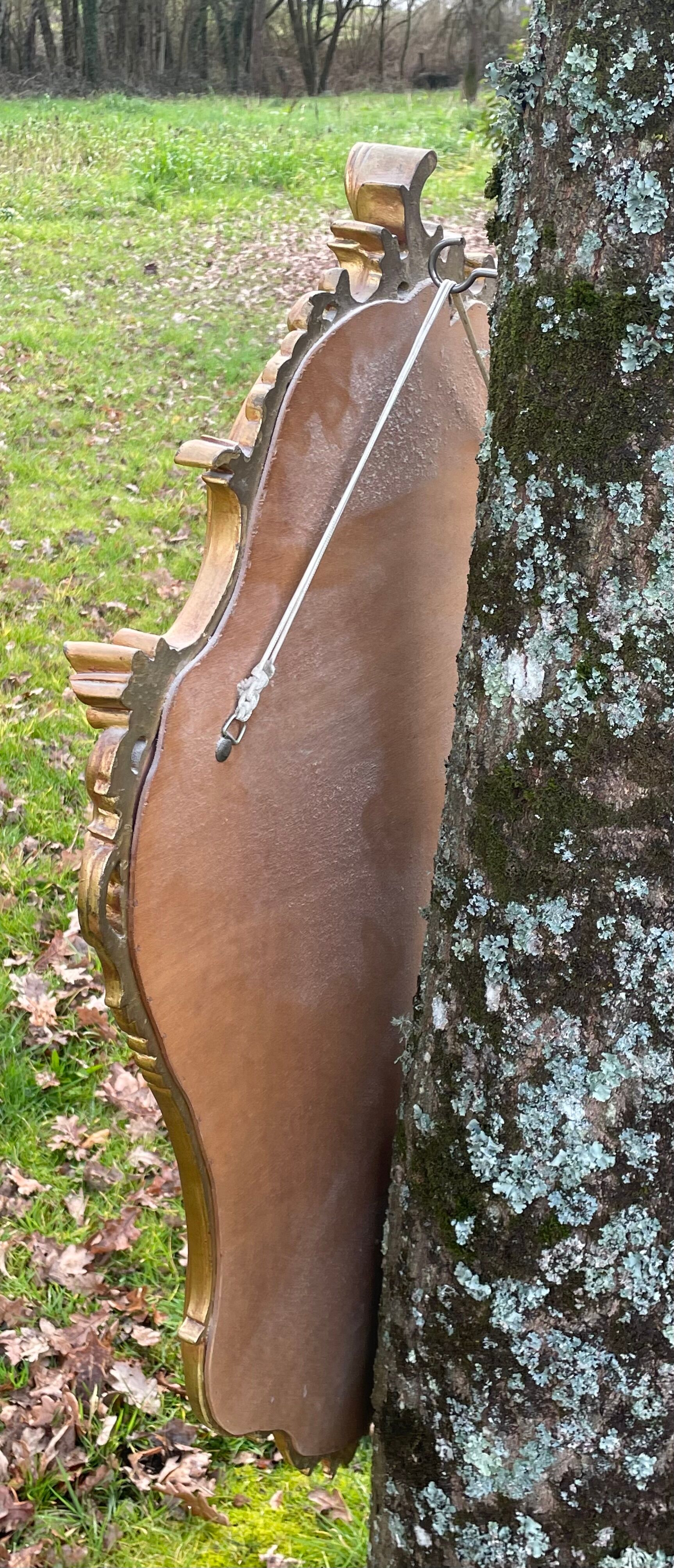Louis XV Style wood and gilded stucco mirror with animated shape