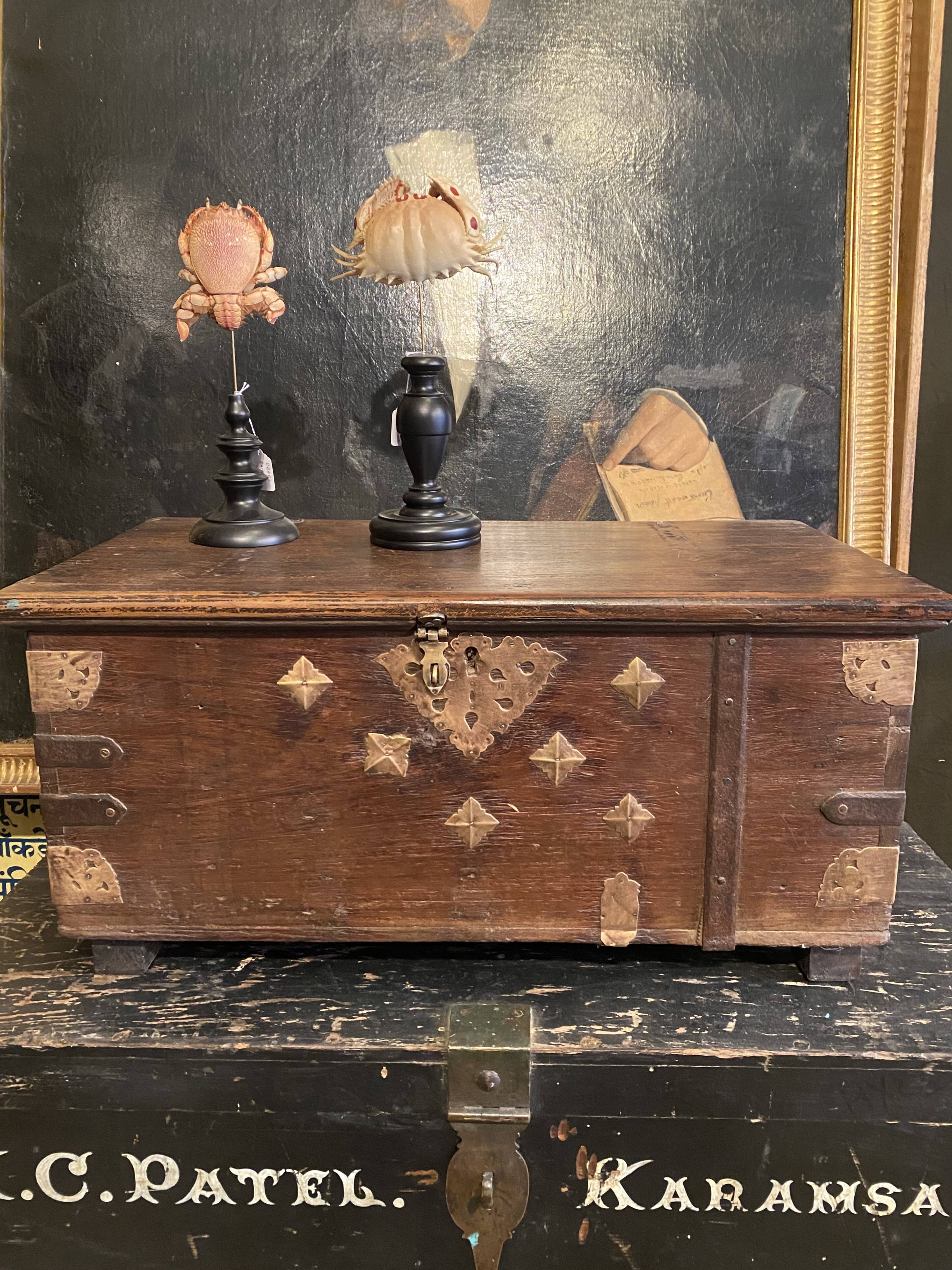 Indian chest in wood and gilded metal