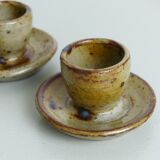 Pyrite sandstone shells