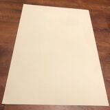 Original ideogram poster fly 1986 Dardelet vintage lithograph