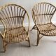Vintage rattan shell armchairs