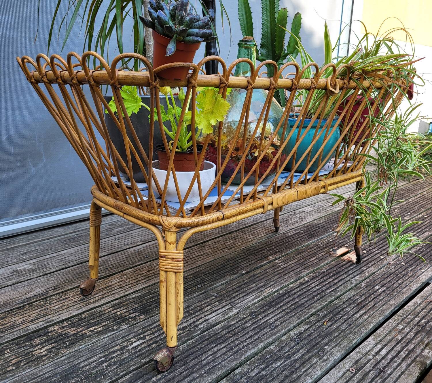 Nursery basket for green plants