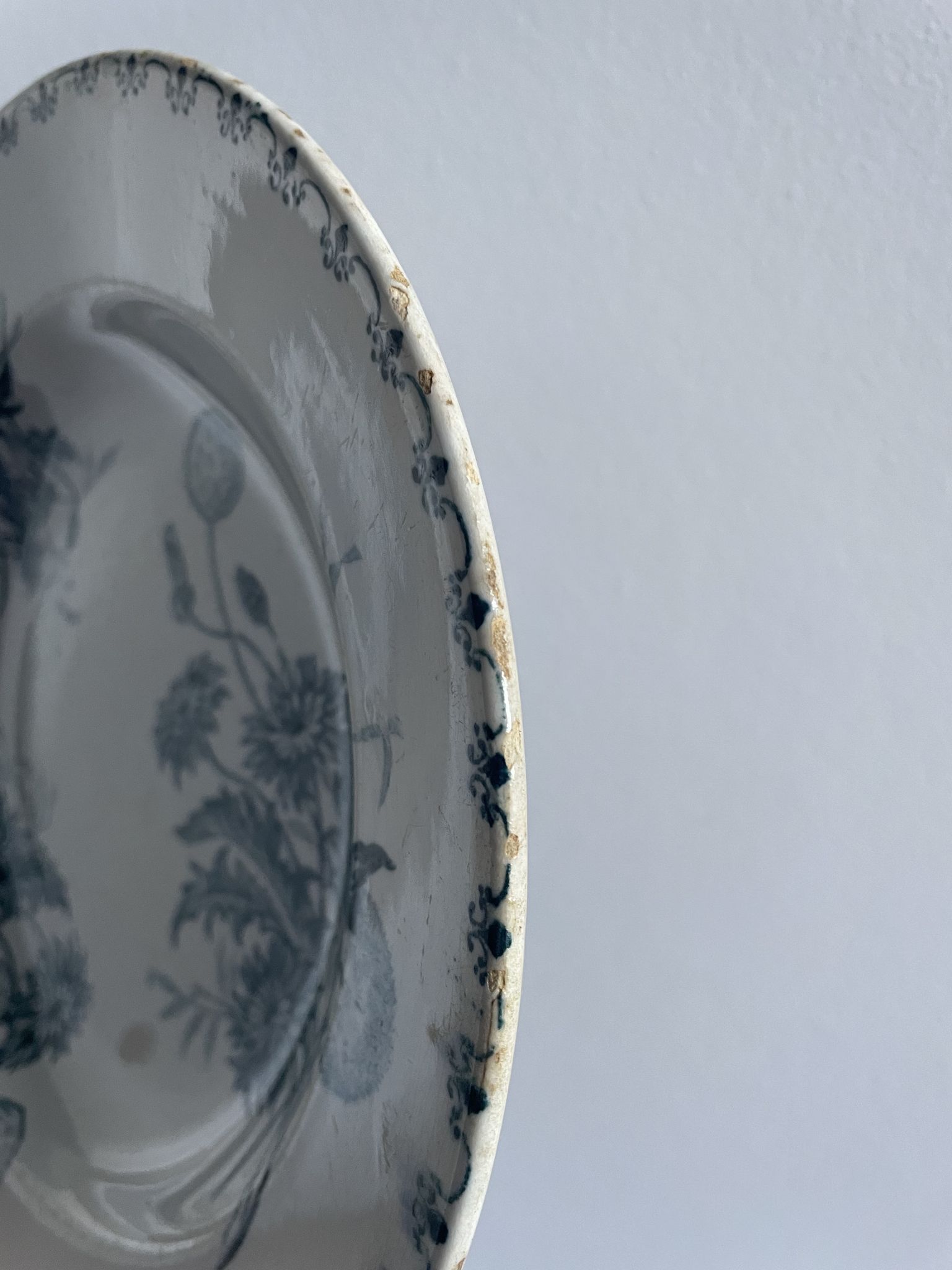 Set of 10 hollow plates Terre de Fer XIXth, model Madrid