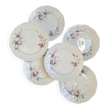 6 porcelain dessert plates