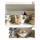 Sarreguemines coffee pot in white and blue earthenware, "Copenhagen" pattern - early 20th century