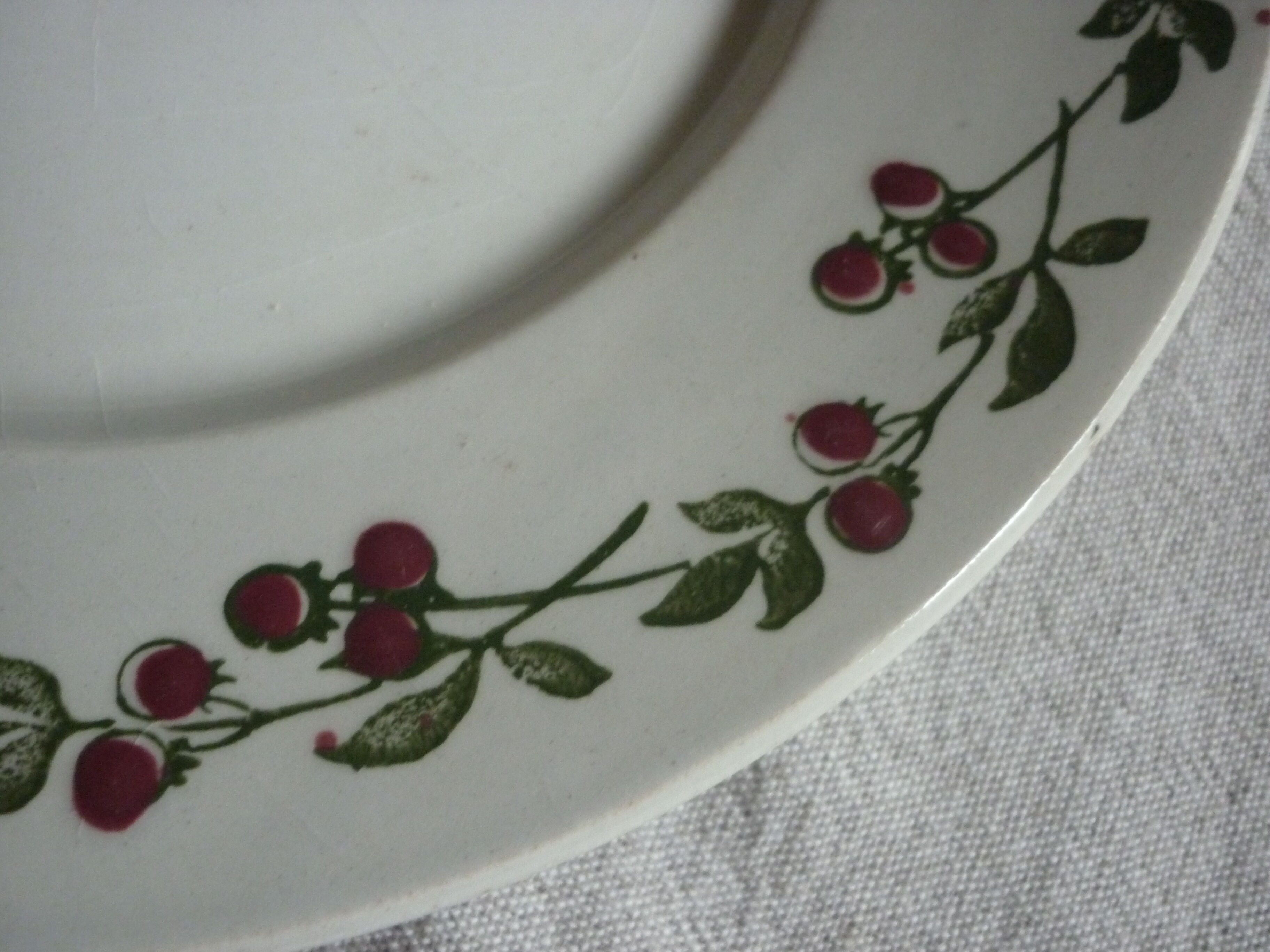 Set of 4 plates earthenware somain, RIM fruit slushie