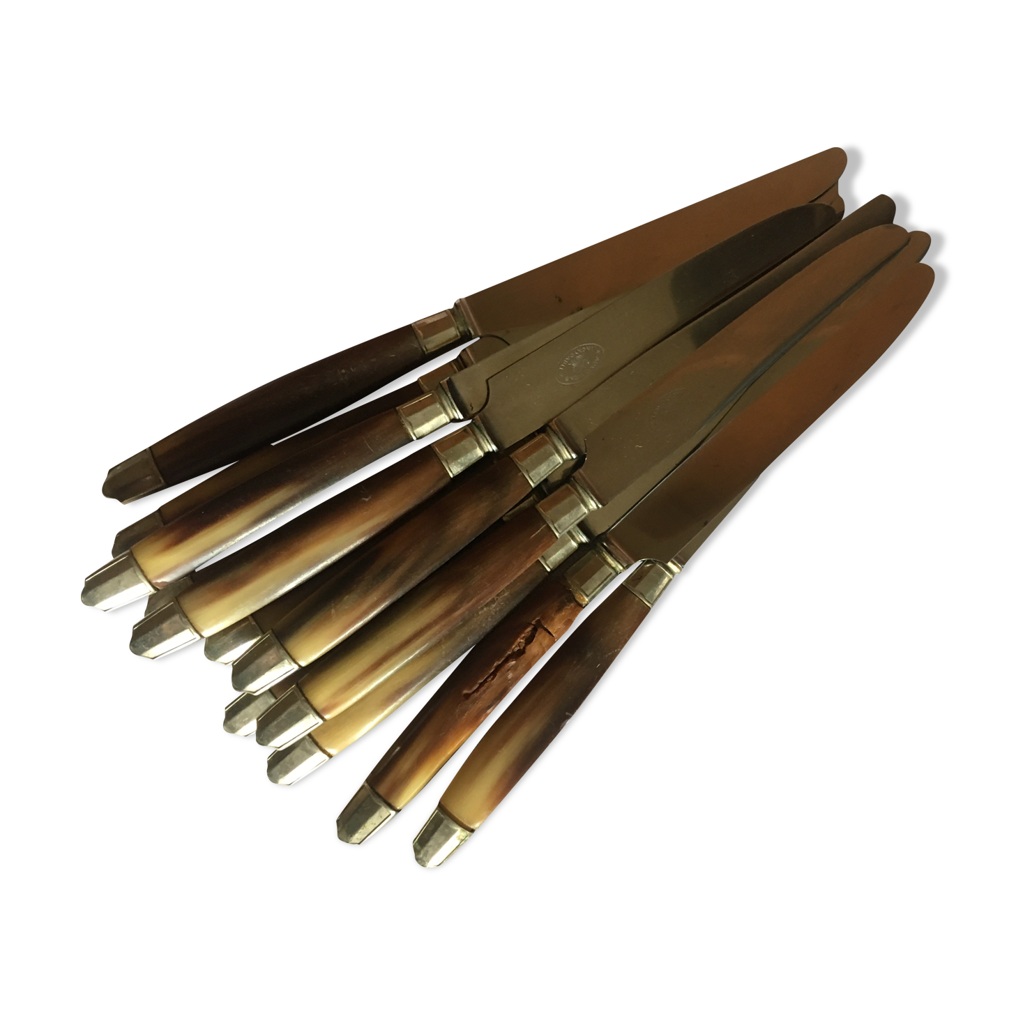 Series of dessert cutlery in stainless steel "with two lions"