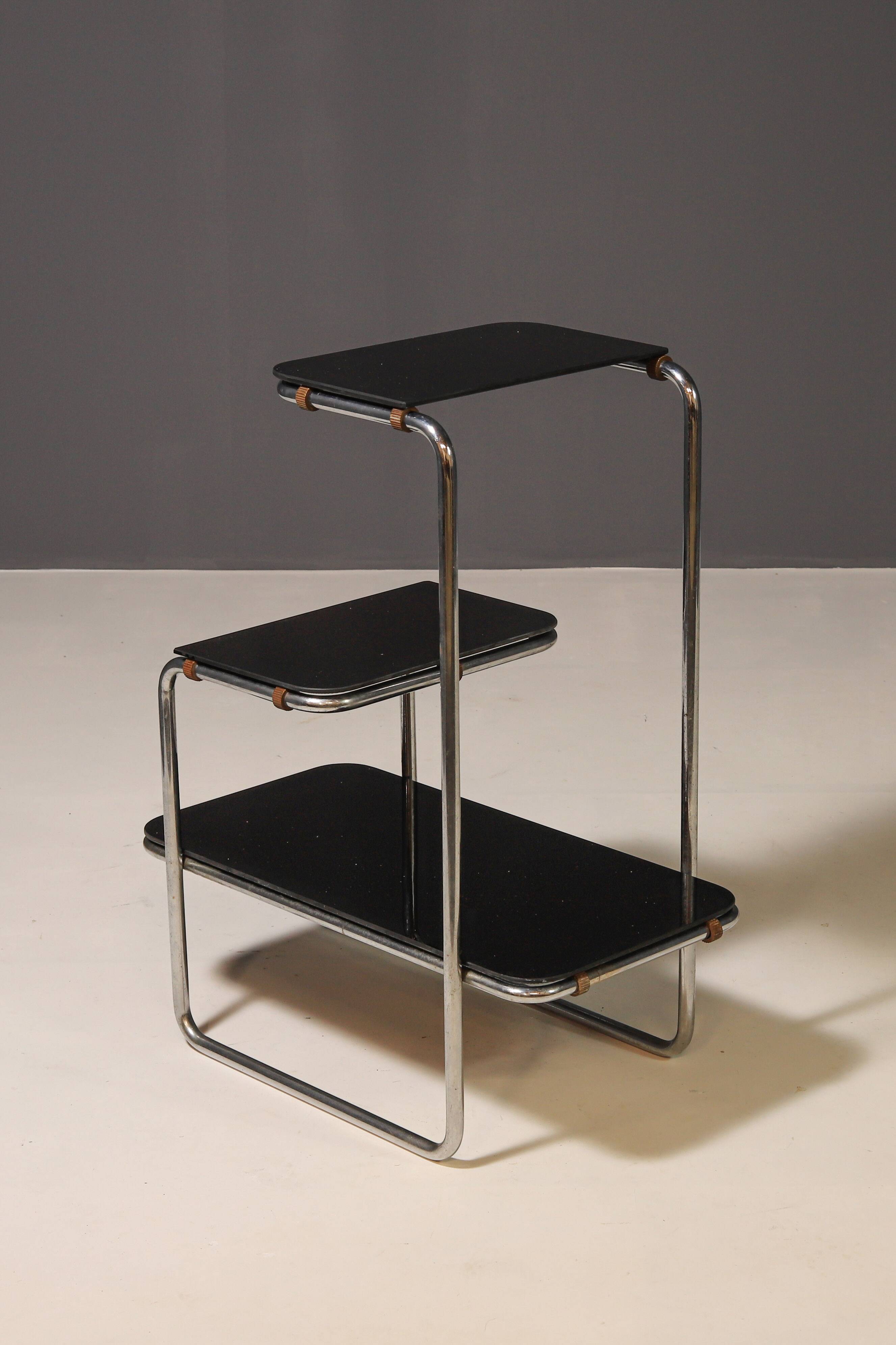 Functionalist Étagère B8 by Anton Lorenz for Slezák company, 1930s–1940s