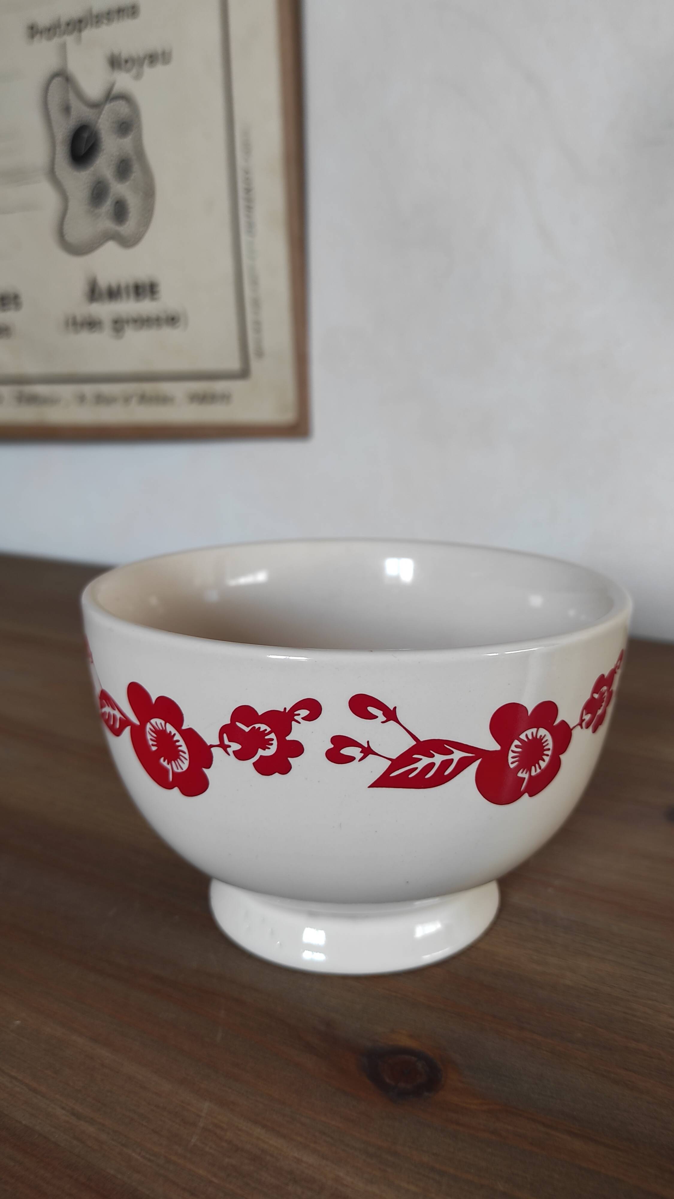 Vintage bowl with red flowers