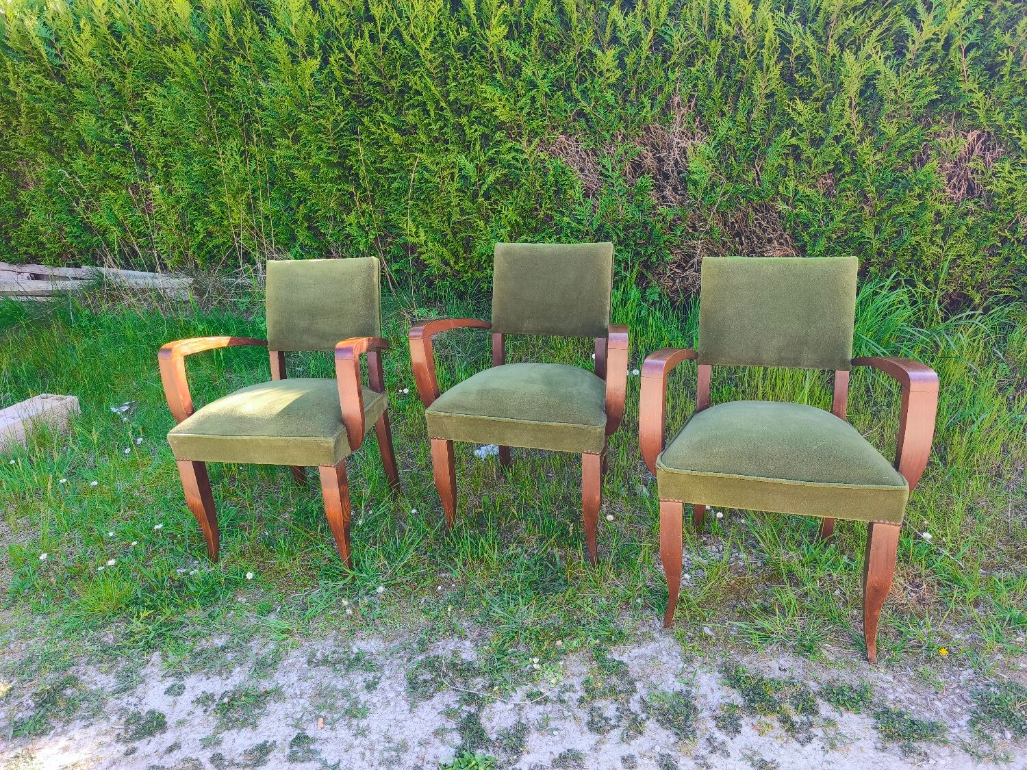 Set of 3 Art Deco bridge chairs in olive green velvet.