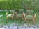 Suite de 3 fauteuils bridge Art Déco en velours vert olive