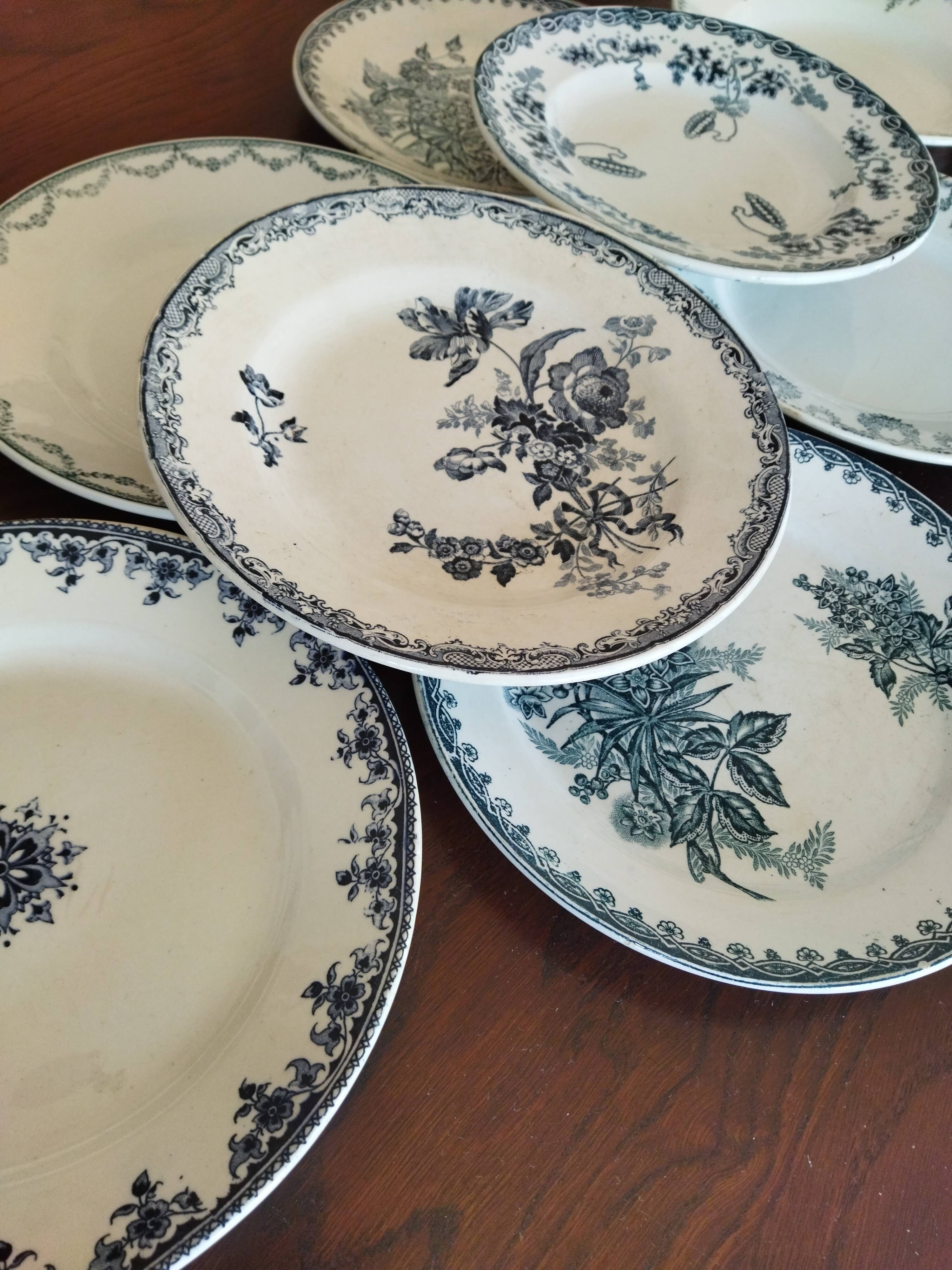 8 iron earthenware plates (St Amand Hamage HB & Cie Sarreguemines Digoin)