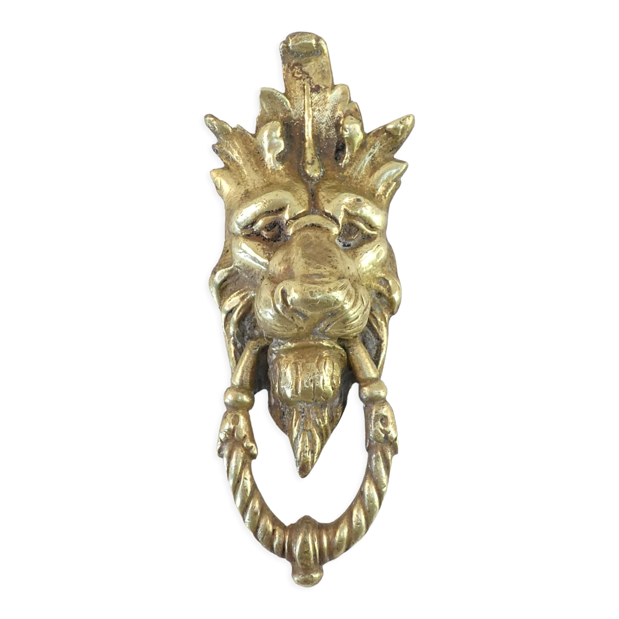 Bronze door knocker Lion's Head