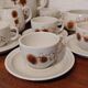 Glazed stoneware coffee set decorated with thistles Sarreguemines