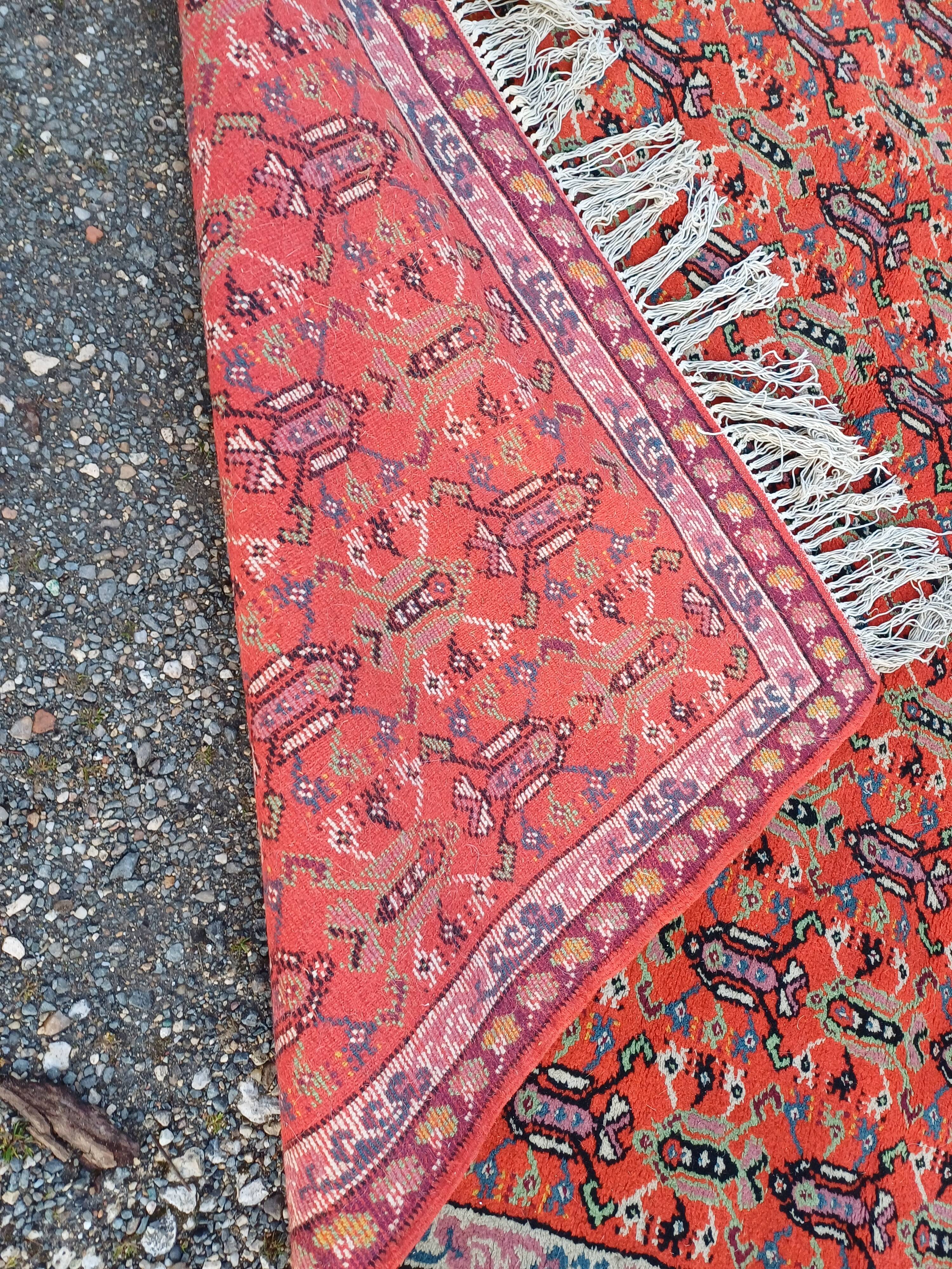 Moroccan hand-knotted wool rug