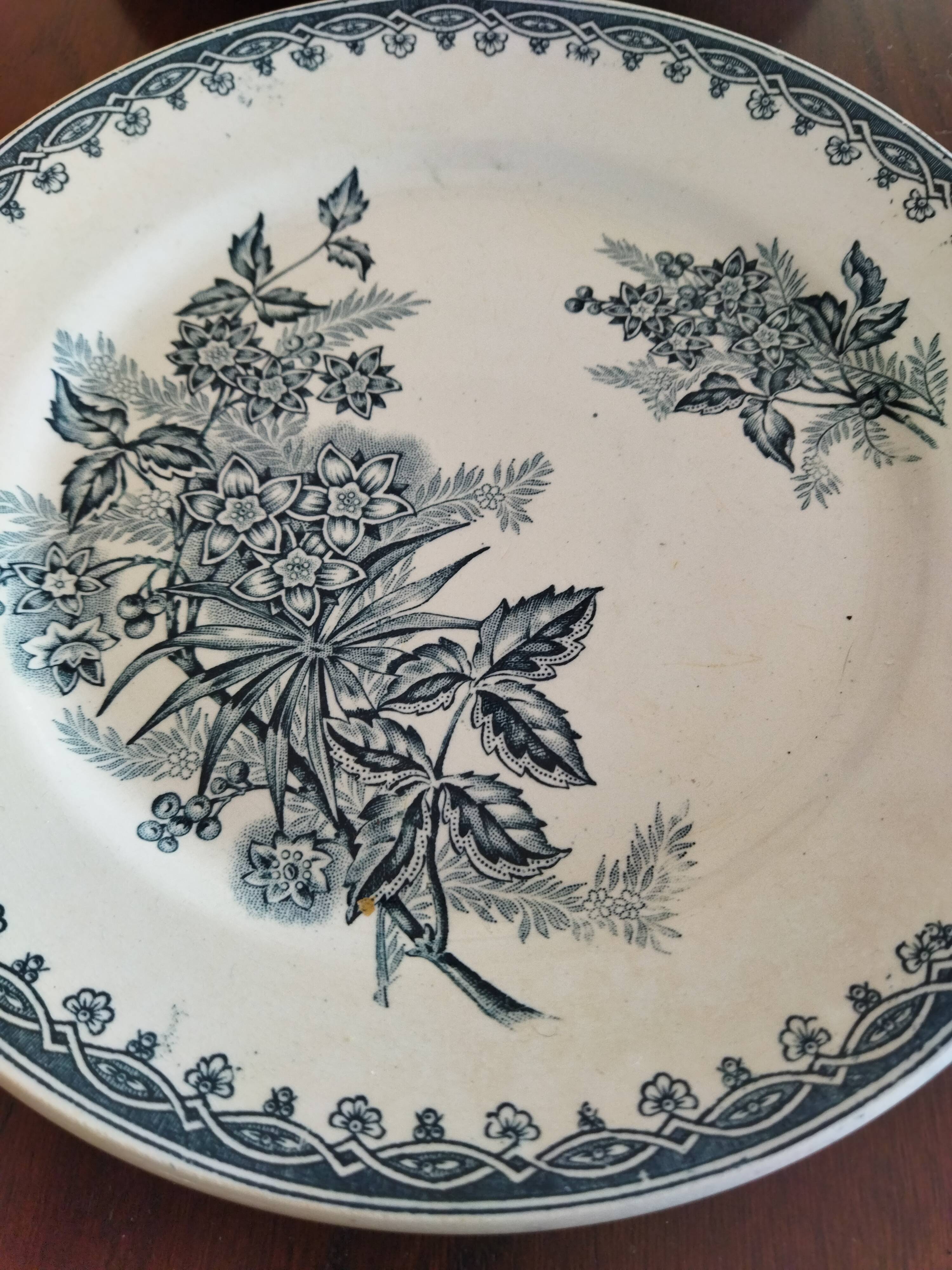 8 iron earthenware plates (St Amand Hamage HB & Cie Sarreguemines Digoin)