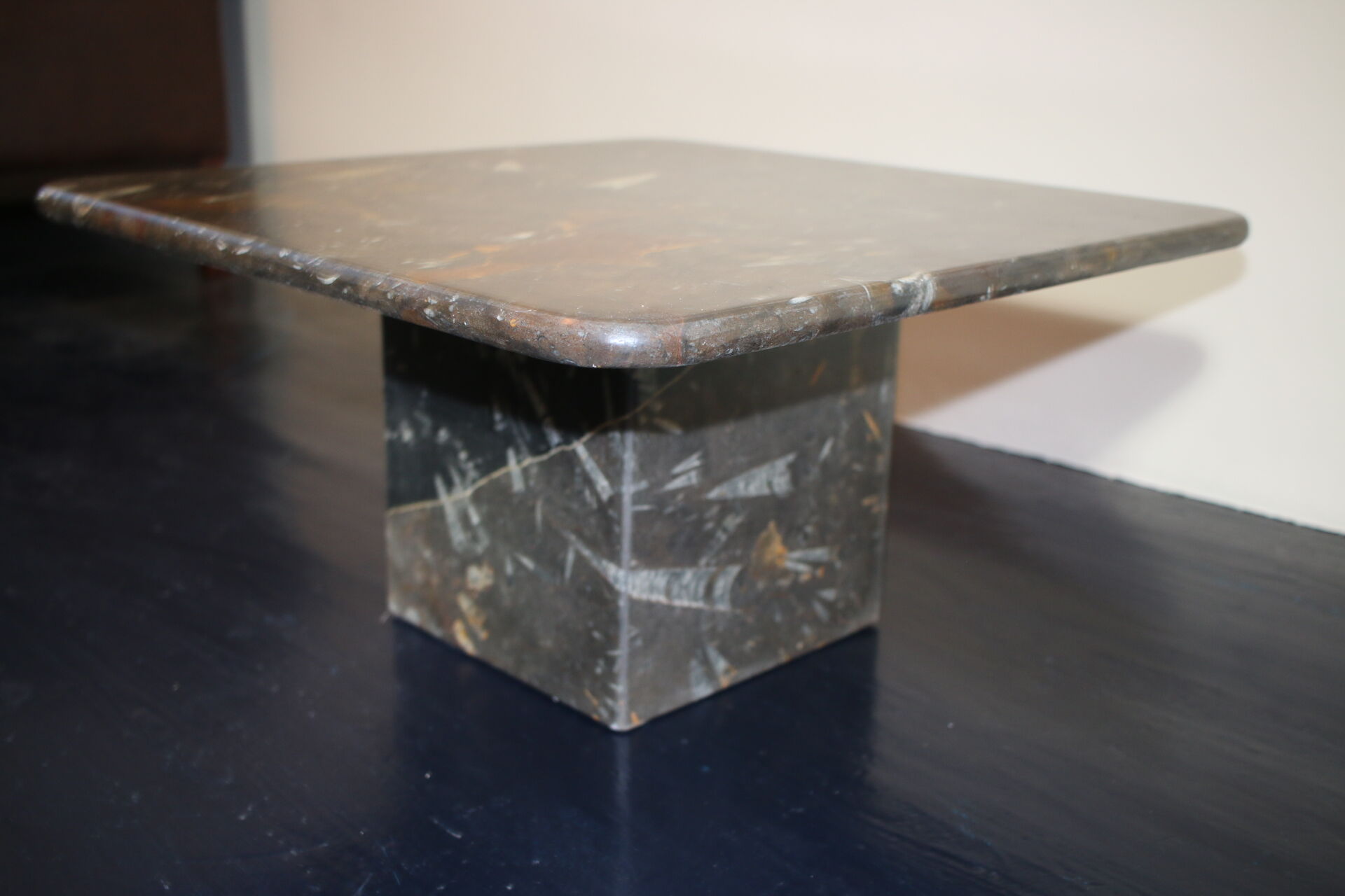 Table basse vintage en pierre fossilisée