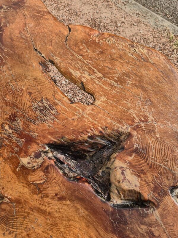 Table basse Brutaliste racine tronc d'arbre en Orme massif 1950s