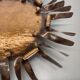 large 50cm solid copper Stilnovo Style Sunburst Theatre Wall Light , Italy