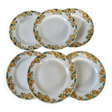 Set of 6 vintage buttercup model plates from Sarreguemines